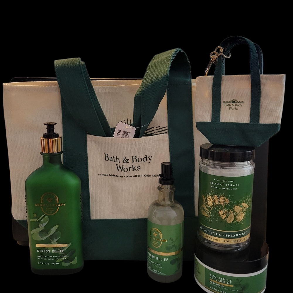 Bath & Body Works Eucalyptus Spearmint Aromatherapy Stress Relief Gift Set- NEW!